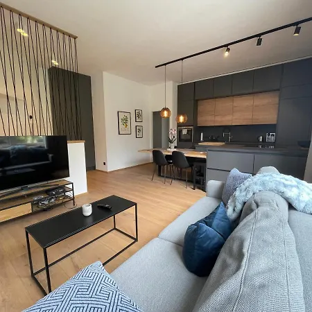 1919 Daire Kitzbühel